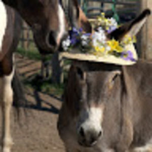 Meet your Posher, Karen